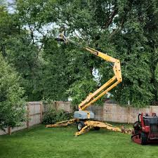 Best Hazardous Tree Removal  in Longboat Key, FL